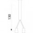 REAR LIGHT